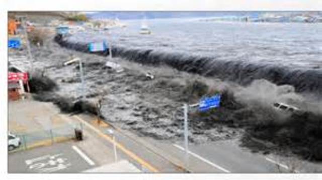 Tohoku Earthquake