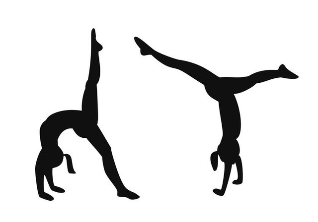 Began Gymnastic Classes
