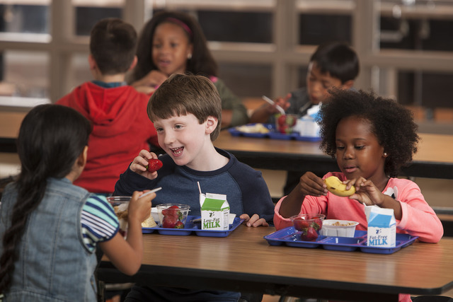 Exploring the Influence of the National School Lunch Program on Children