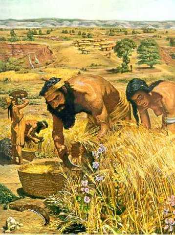 Het begin van de landbouw
