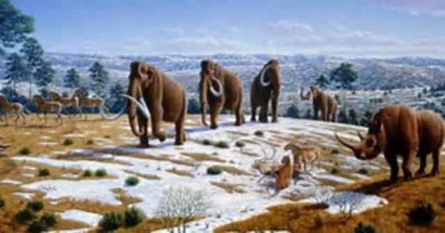 Na de laatste ijstijd in Nederland