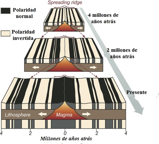 Frederick John Vine and Drummond Hoyle Matthews