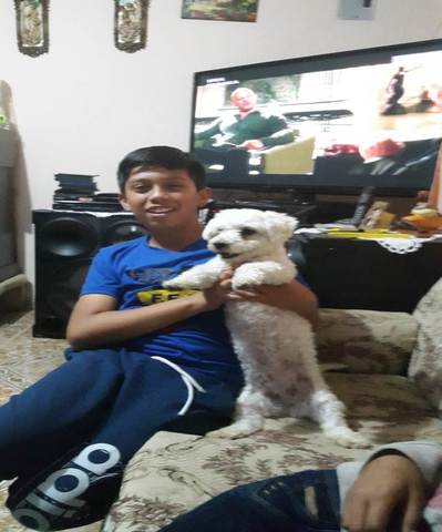 Con mi perrita en el fin del año