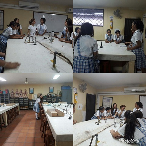 Socialización del proyecto