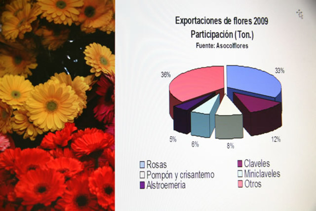 promoción de las exportaciones