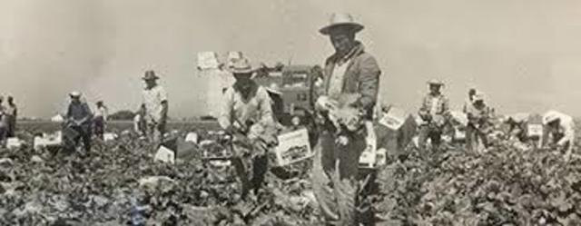 Bracero Program