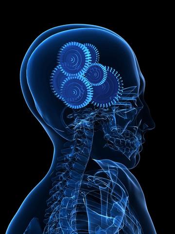 PROCESAMIENTO HUMANO