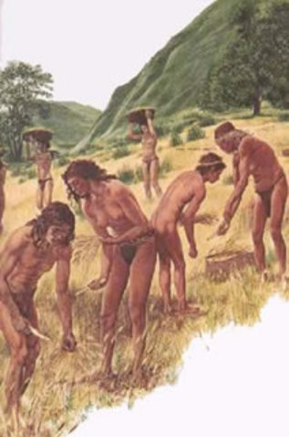 Landbouw in Nederland