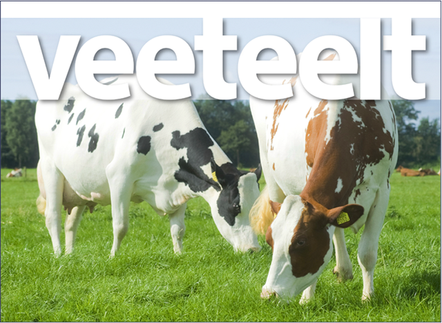 Veeteelt bij ronde hutten