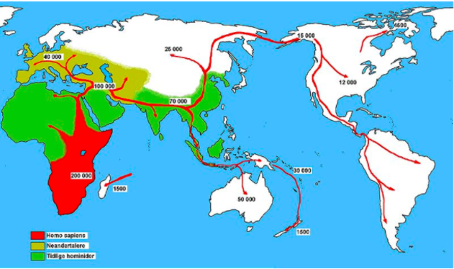 Homosapiens naar nederland