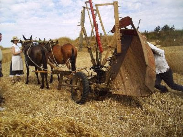 la energía producida por los músculos humanos y animales adicionales