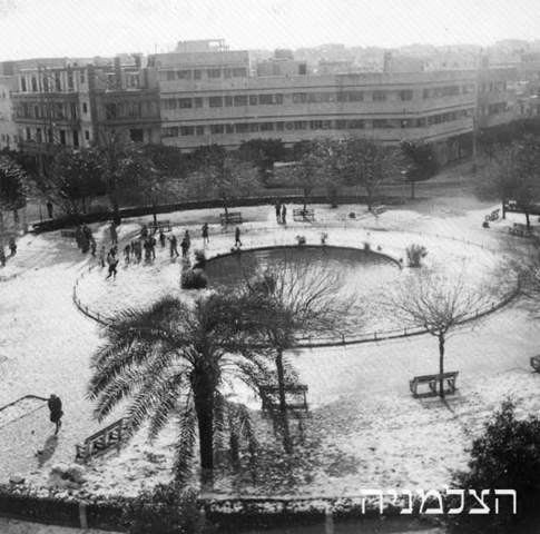 1950 - שלג בל אביב