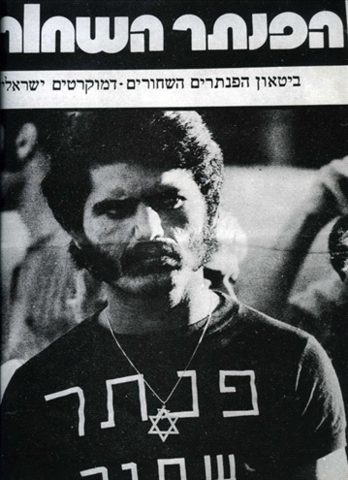 הפנתרים השחורים