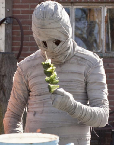 Geloof van hiernamaals