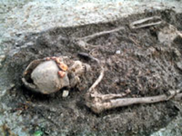 Ontdekking in Swifterbant