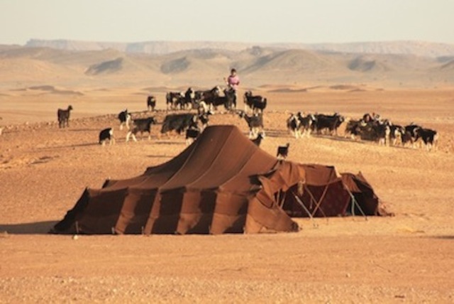 nomaden plunderen voorraadschuren