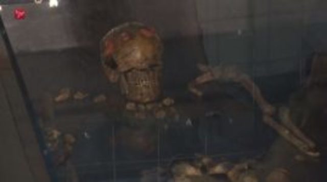 De hoofdman van Swifterbant