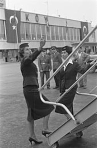 First Flight Attendant