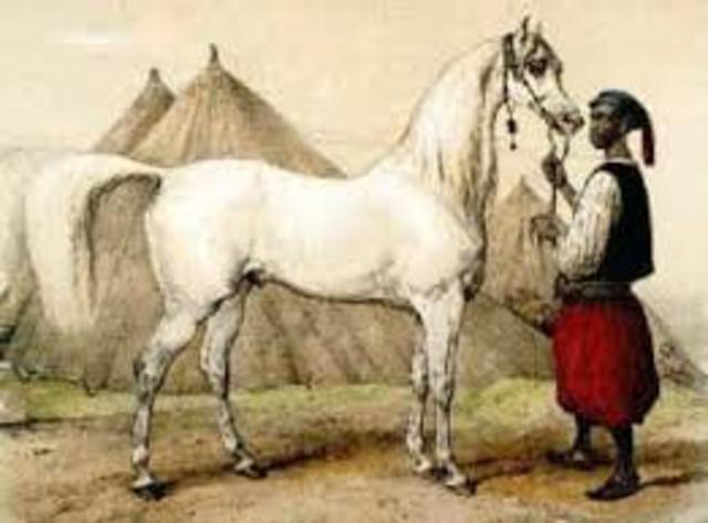 Ancient transportation