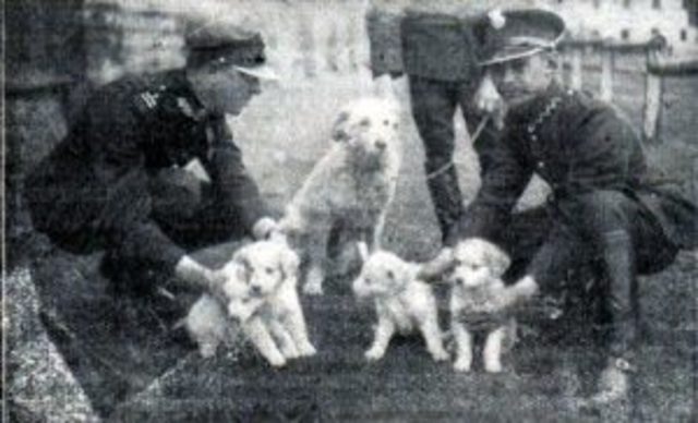 mensen gaan dieren houden