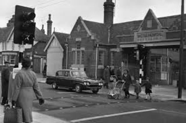 First Pelican Crossing