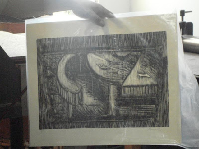 APARICIÓN CINCOGRAFÍA