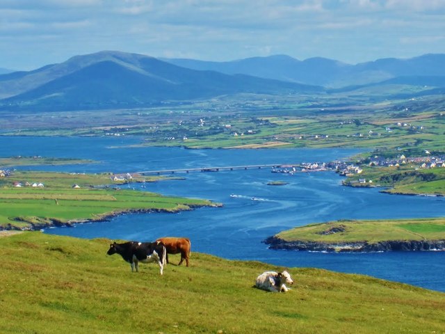 Summer English course