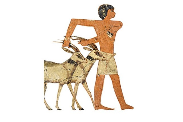 Mensen beginnen dieren te houden