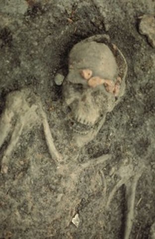 De hoofdman van Zwifterbant