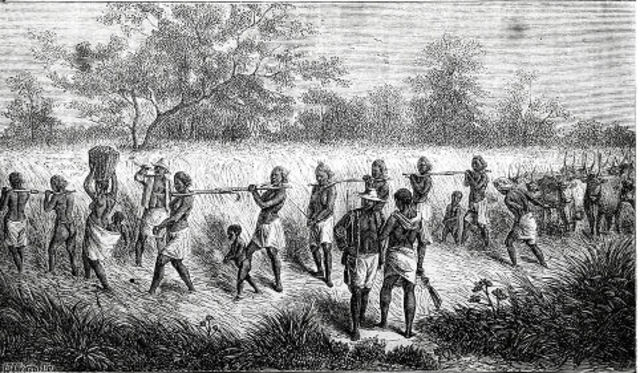 ASCENSÃO DO TRÁFICO NEGREIRO