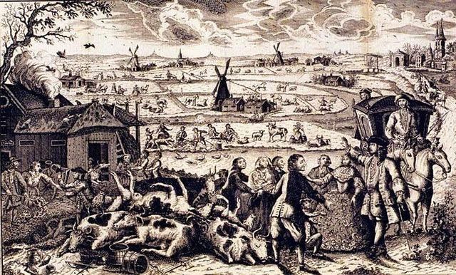 Mensen gaan dieren fokken.