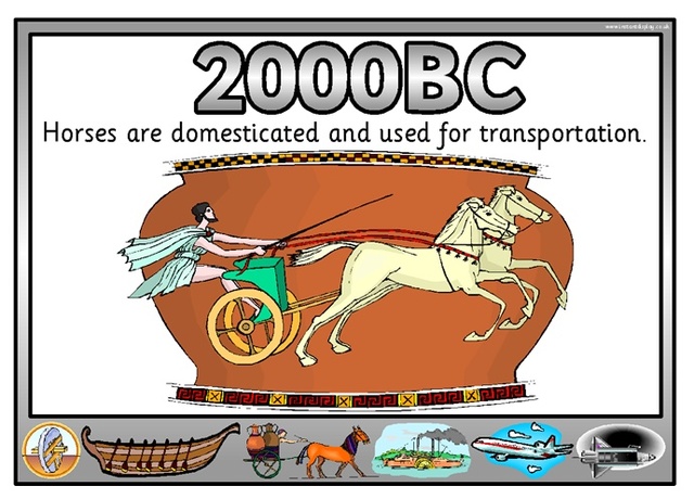 Horses Used for Transportation