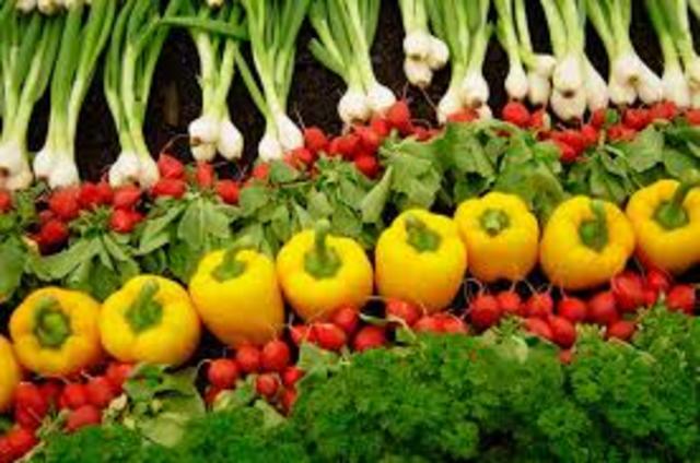 EVOLUCIÓN DE LA AGRICULTURA ORGÁNICA