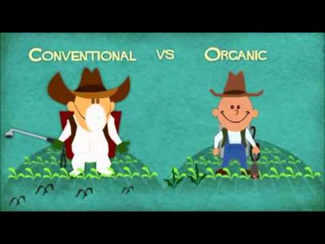 EVOLUCIÓN DE LA AGRICULTURA ORGÁNICA