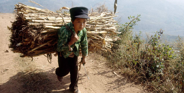 Cesar's impacted education