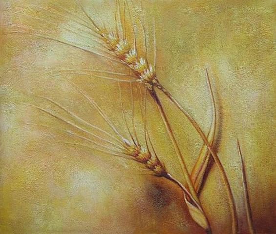 Begin van de Landbouw.