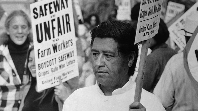 Cesar resigns to the CSO to continue his fight!