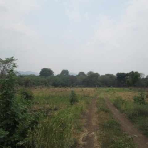 Proceso de reclamación de terrenos de haciendas, y una nueva ley laboral