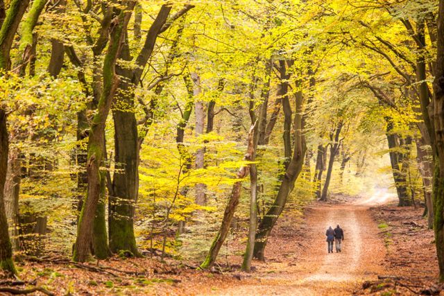 Nederland na de ijstijd.