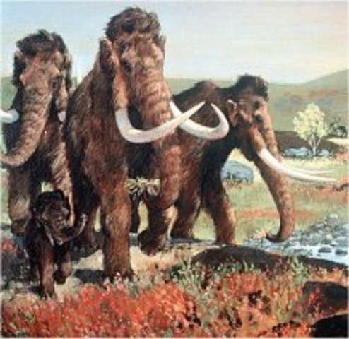 Nederland na de ijstijd