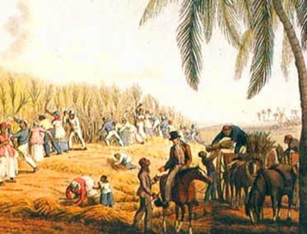 solução açucareira