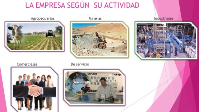 SEGÚN SU ACTIVIDAD