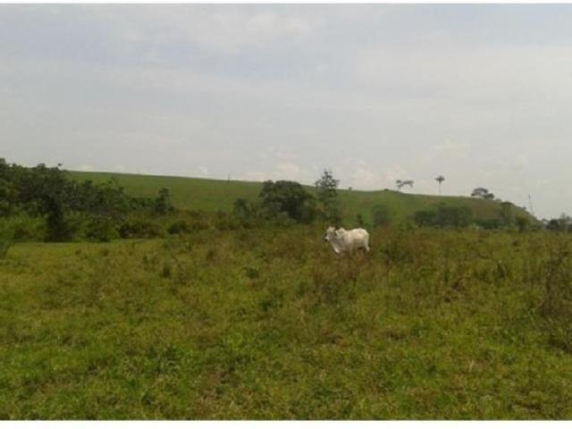 El 86% de las fincas tenían menos de 20 hectáreas