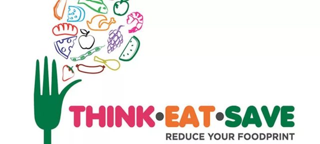 2013 год — «Думай. Ешь. Сохраняй» (англ. Think.Eat.Save)[2]