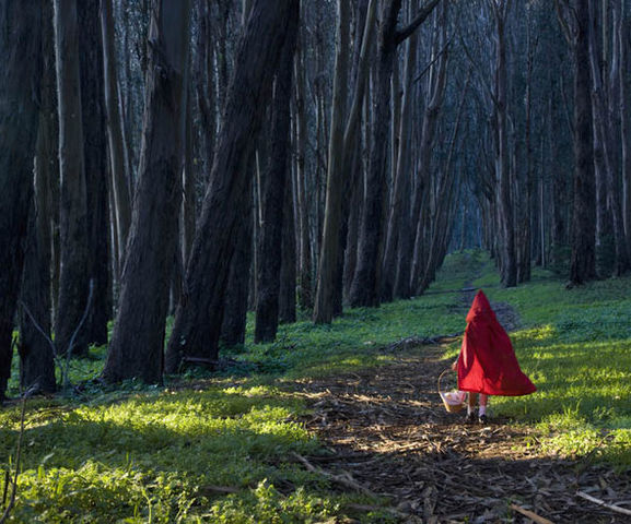 -Little Red Riding Hood & The 3 Little Pigs,
