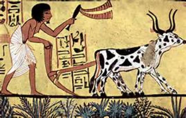 Mensen beginnen dieren te houden