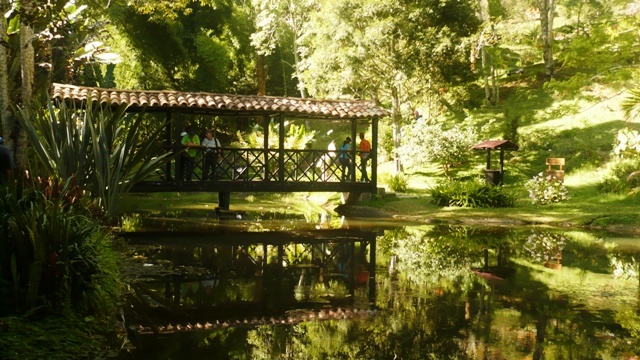 PROYECTO DEL JARDIN BOTANICO