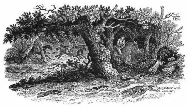 Recuperació Xilografia