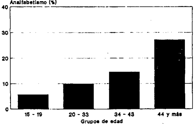 Analfabetismo elevado