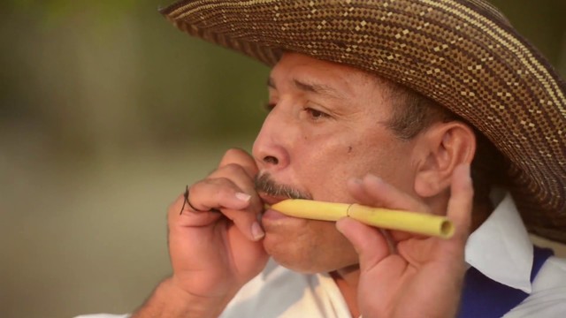 Festival Nacional del Pito Atravesaó “Pablo Domínguez”